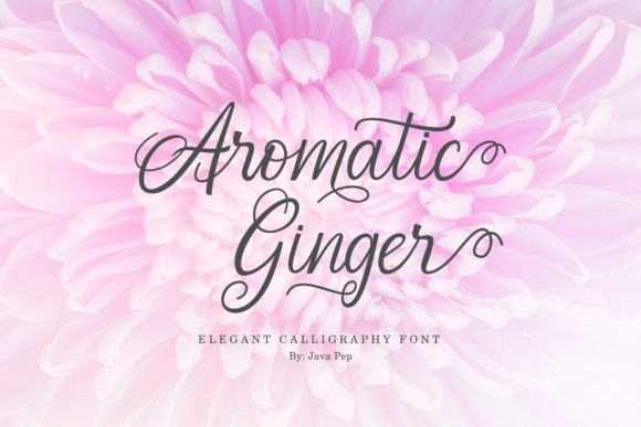 Aromatic Ginger Font: Elegant Script for Editorial Design