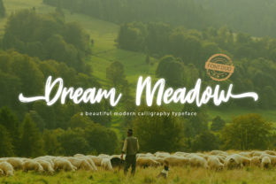 Dream Meadow Font: A Web Designer’s Layout Review