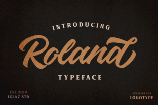 Roland Font: Elevating Retro Web Design