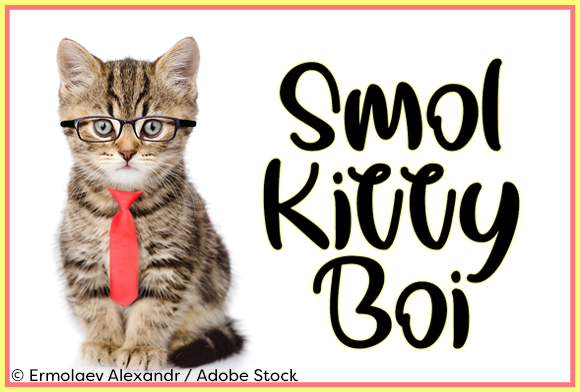 Smol Kitty Boi Font: Playful Type for Handmade Labels